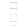Climbing Ladder