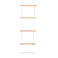 Climbing Ladder