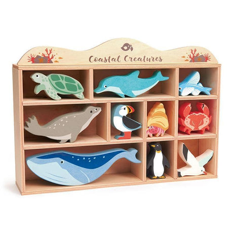 Coastal Animals Display Shelf Set-Imaginative Play-My Happy Helpers