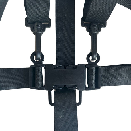 Harness for Dine and Grow Chair