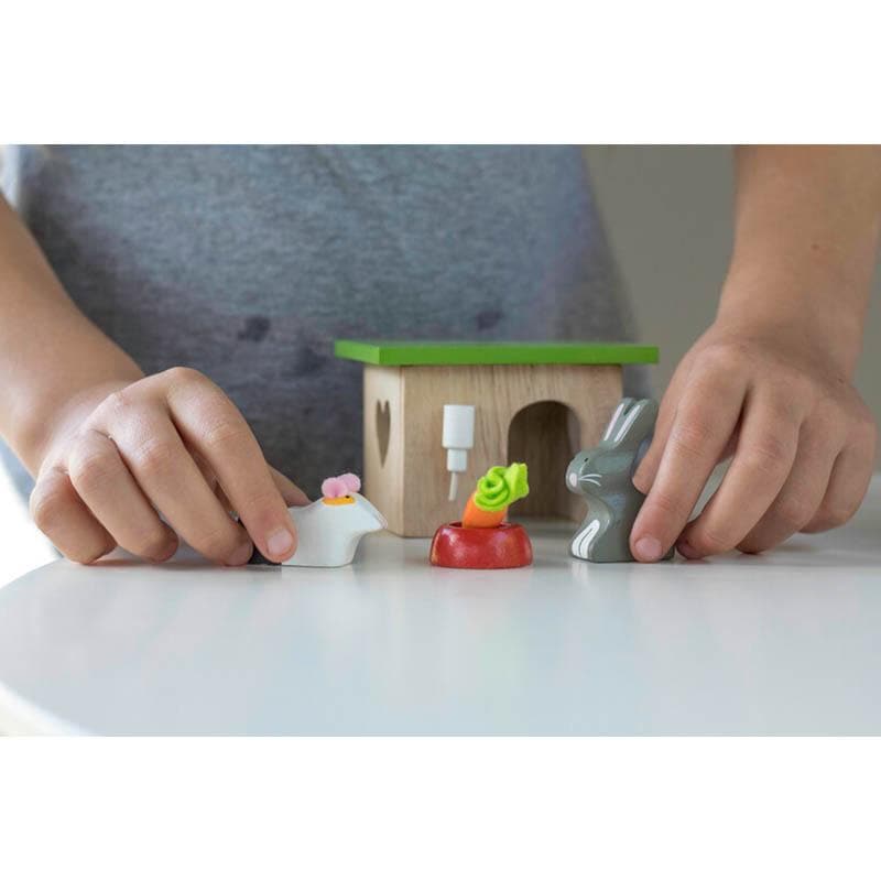 Daisylane Bunny With Guinea Pig
