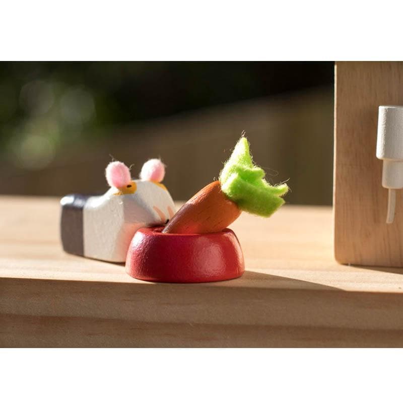 Daisylane Bunny With Guinea Pig