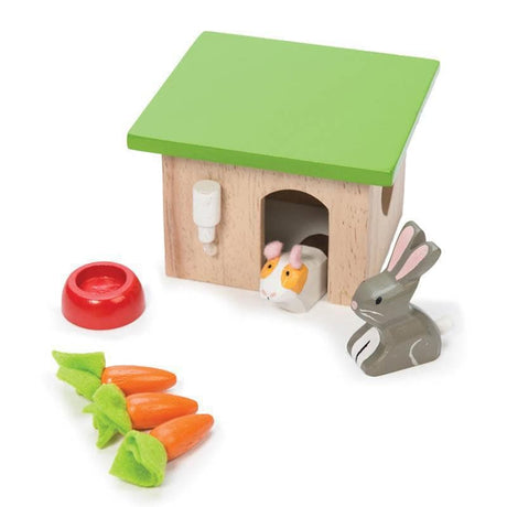 Daisylane Bunny With Guinea Pig-Imaginative Play-My Happy Helpers