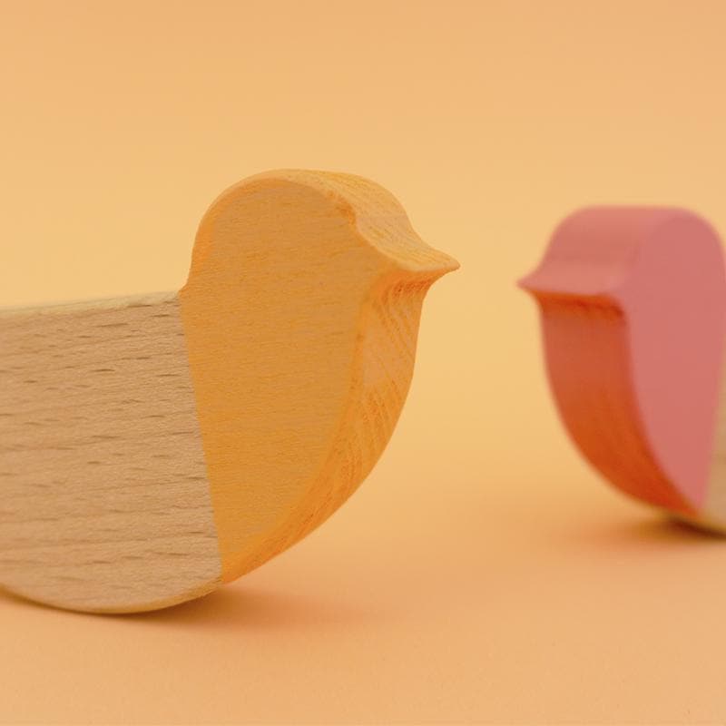 Desert Birds
