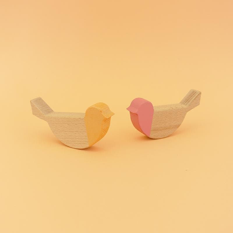 Desert Birds