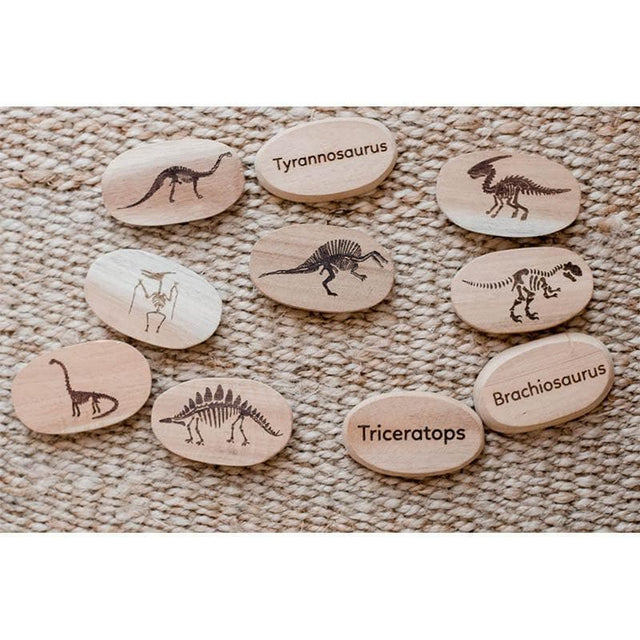 Dinosaur Stones Set of 10