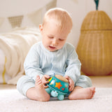 Twist & Tune Turtle