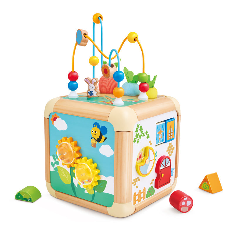 Carrot Activity Cube