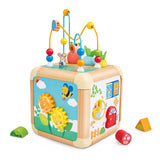 Carrot Activity Cube