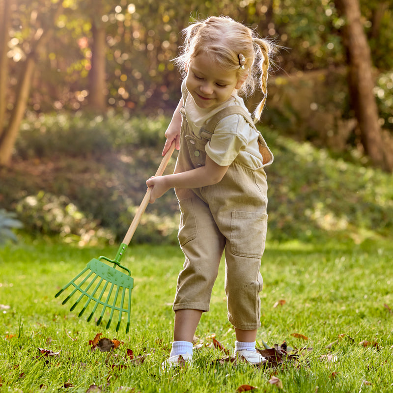 Lawn Rake