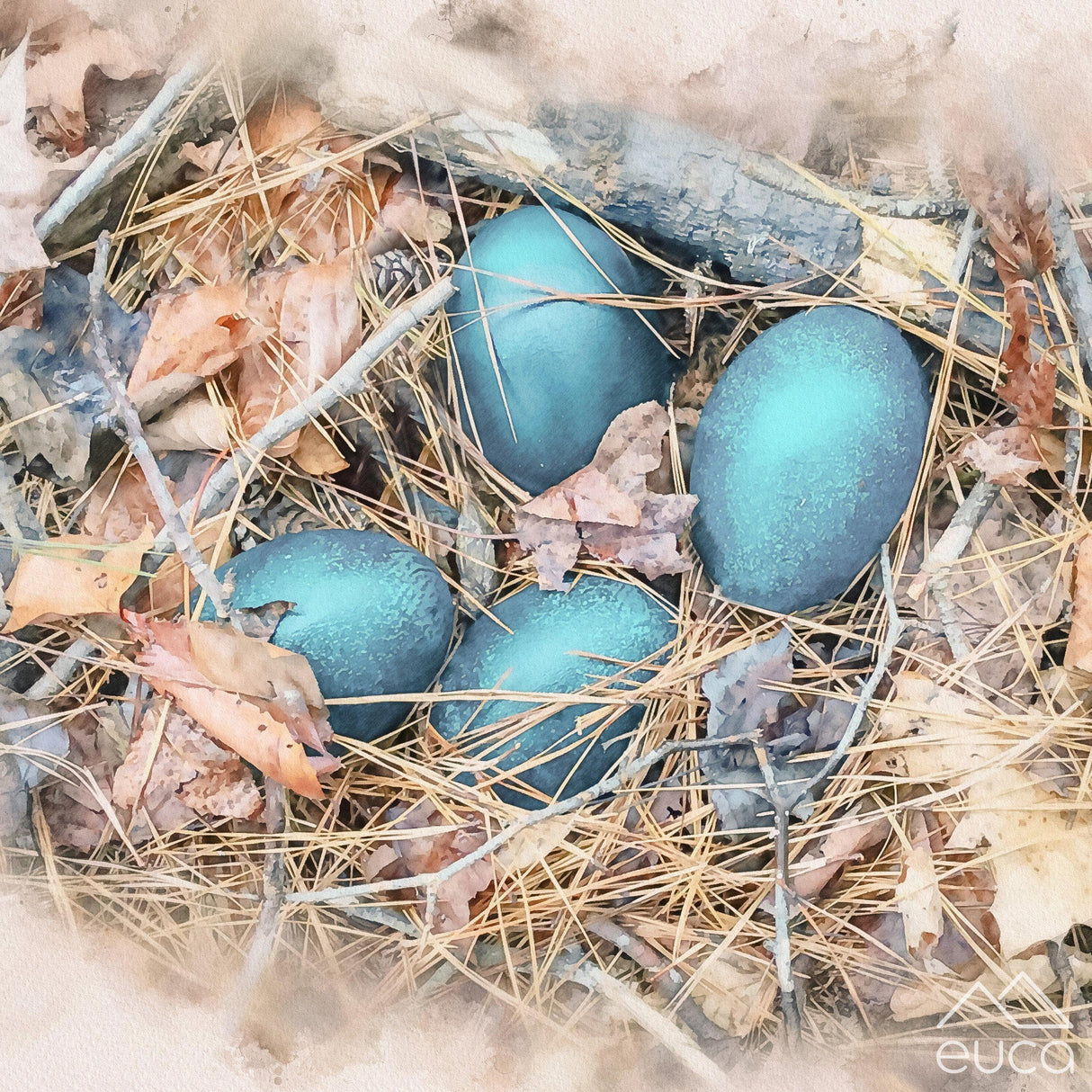 Emu Eggs