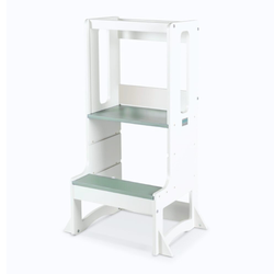 Evo - Limited Edition -White / Sage