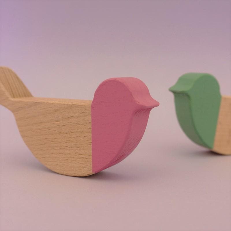 Forest Birds