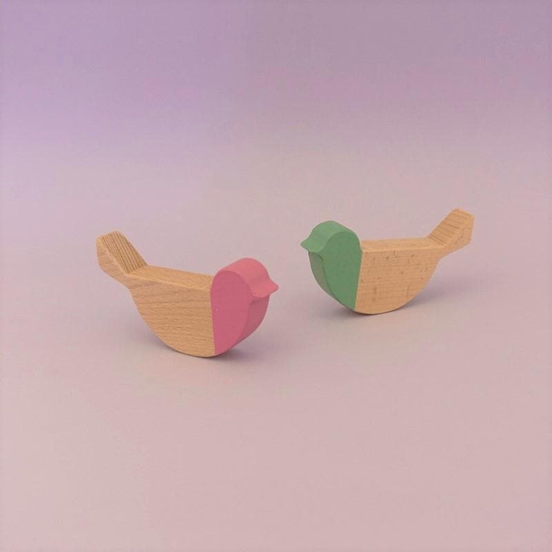 Forest Birds