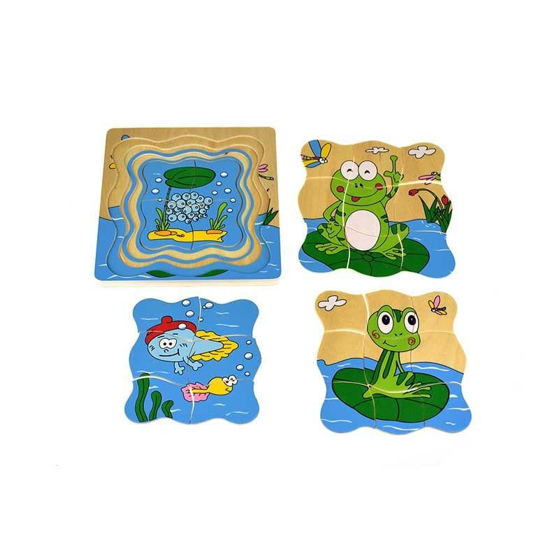 Frog Life Cycle 4 Layers