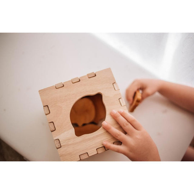 Fruit Puzzle Box