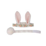 Hippity Hop Bunny Ears & Tail Set