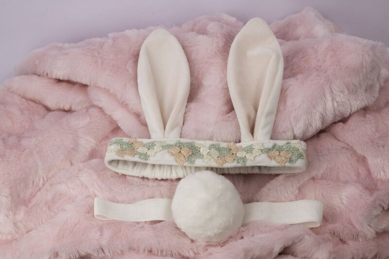 Hippity Hop Bunny Ears & Tail Set