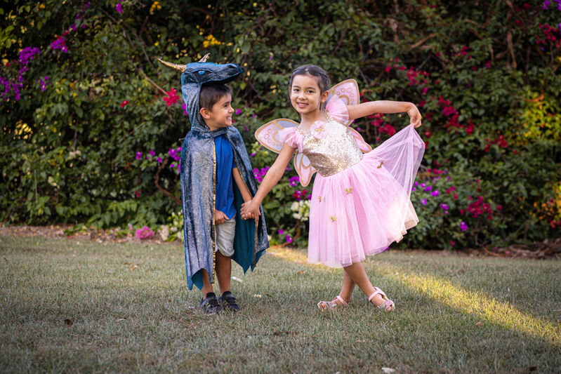 Gold Sequins Butterfly Dress & Wings