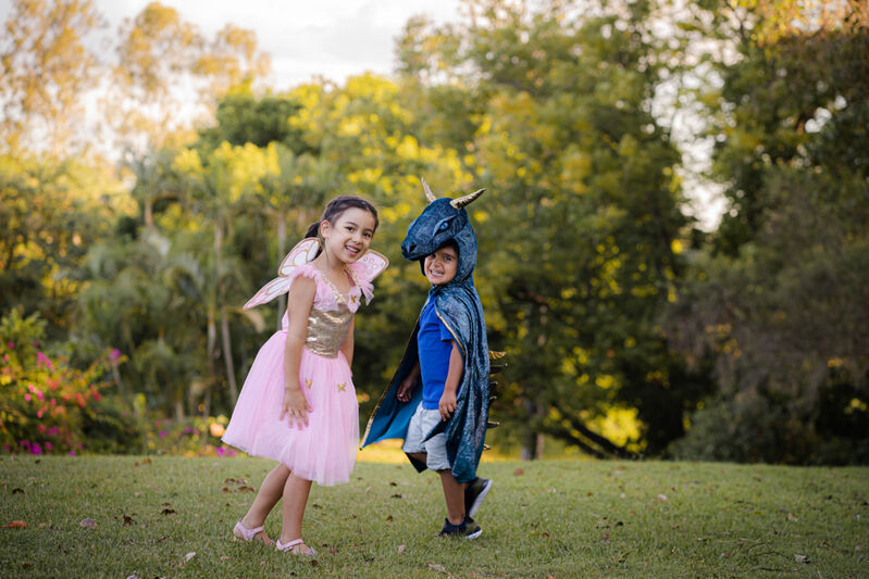 Gold Sequins Butterfly Dress & Wings