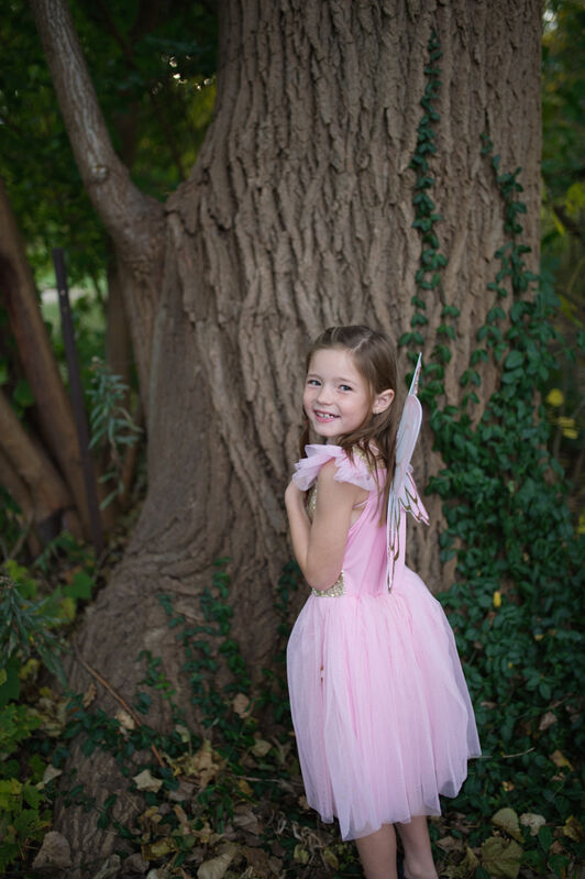 Gold Sequins Butterfly Dress & Wings