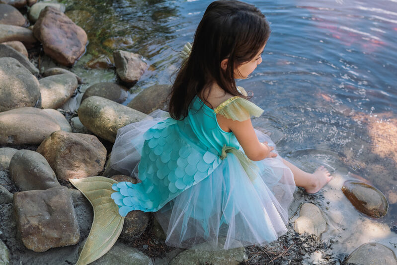 Mermalicious Dress with Tail