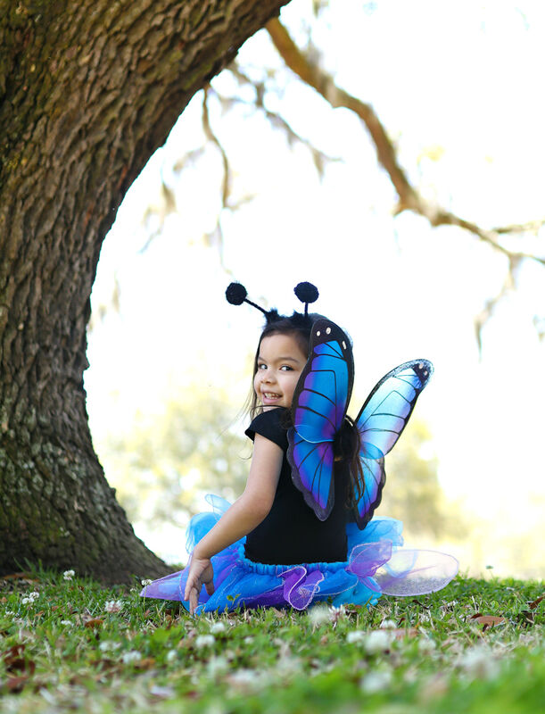 Midnight Butterfly Tutu with Wings & Headband