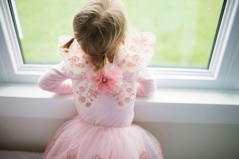 Rose Gold Tutu & Wings Set Sz 4-6