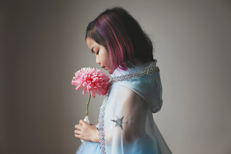 Blue & Silver Snow Queen Cape