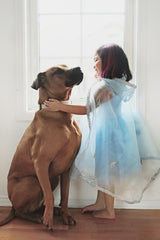 Blue & Silver Snow Queen Cape