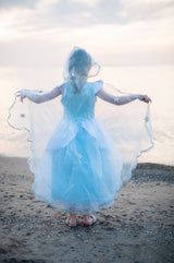 Blue & Silver Snow Queen Cape