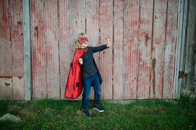 Reversible Spider & Bat Cape with Mask