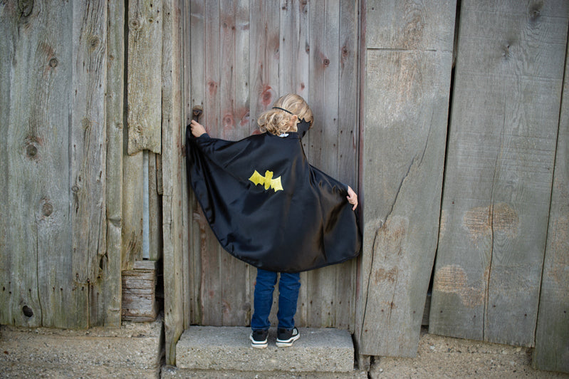 Reversible Spider & Bat Cape with Mask