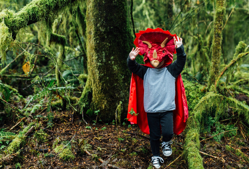 Red Triceratops Hooded Cape