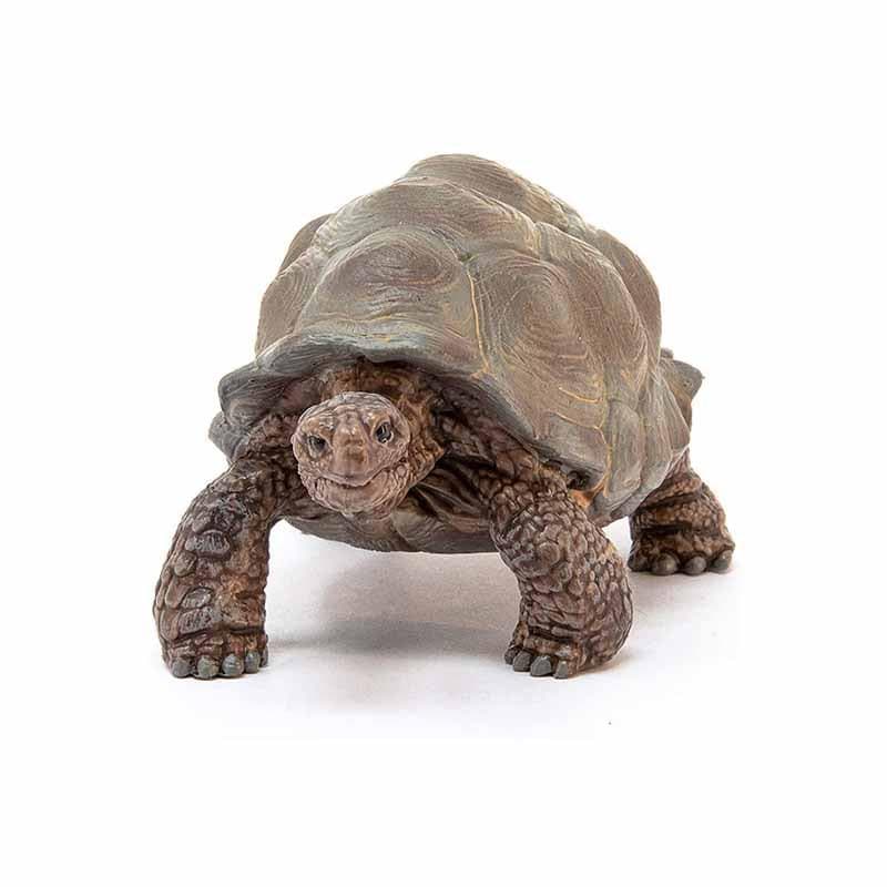 Giant Tortoise