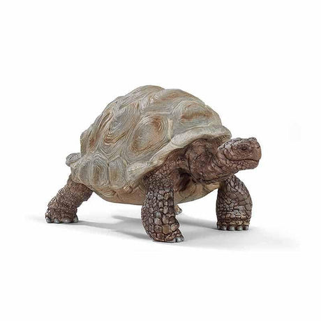 Giant Tortoise-Imaginative Play-My Happy Helpers