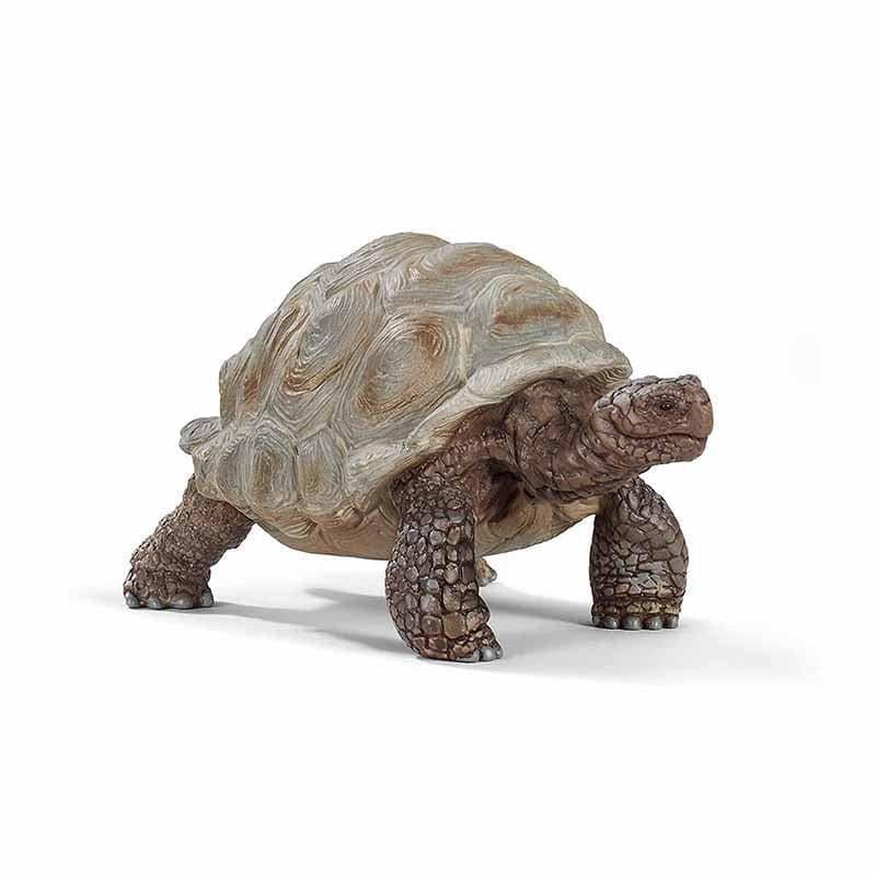 Giant Tortoise