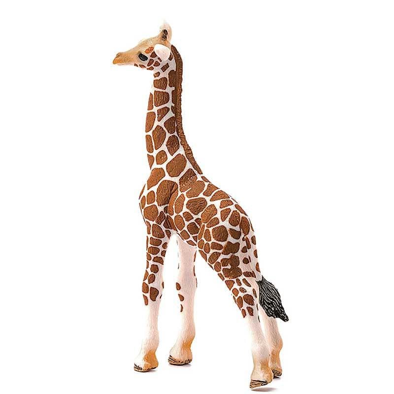 Giraffe Calf