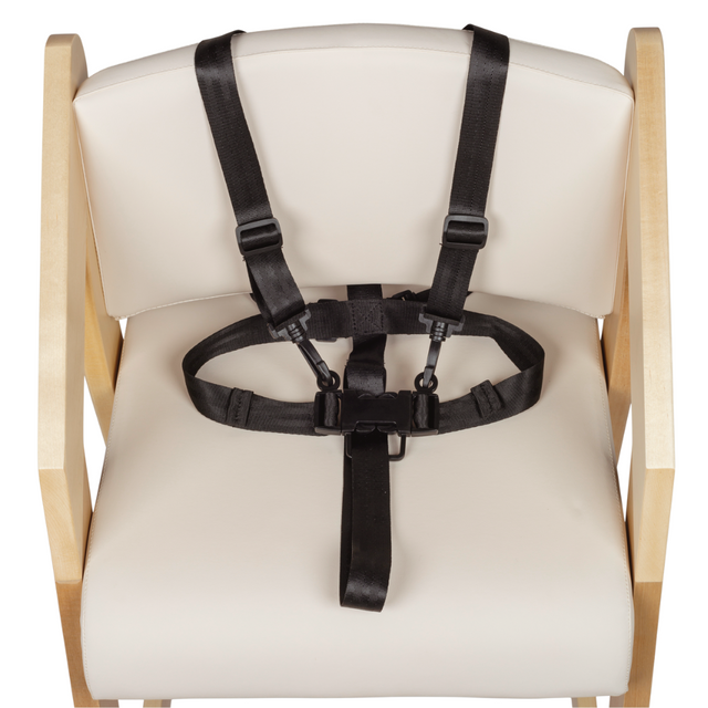 Harness for Dine and Grow Chair