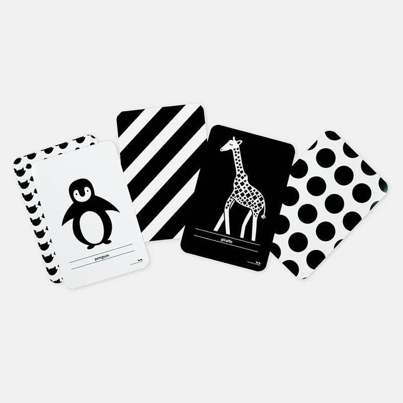 High Contrast Flash Cards