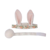 Hippity Hop Bunny Ears & Tail Set