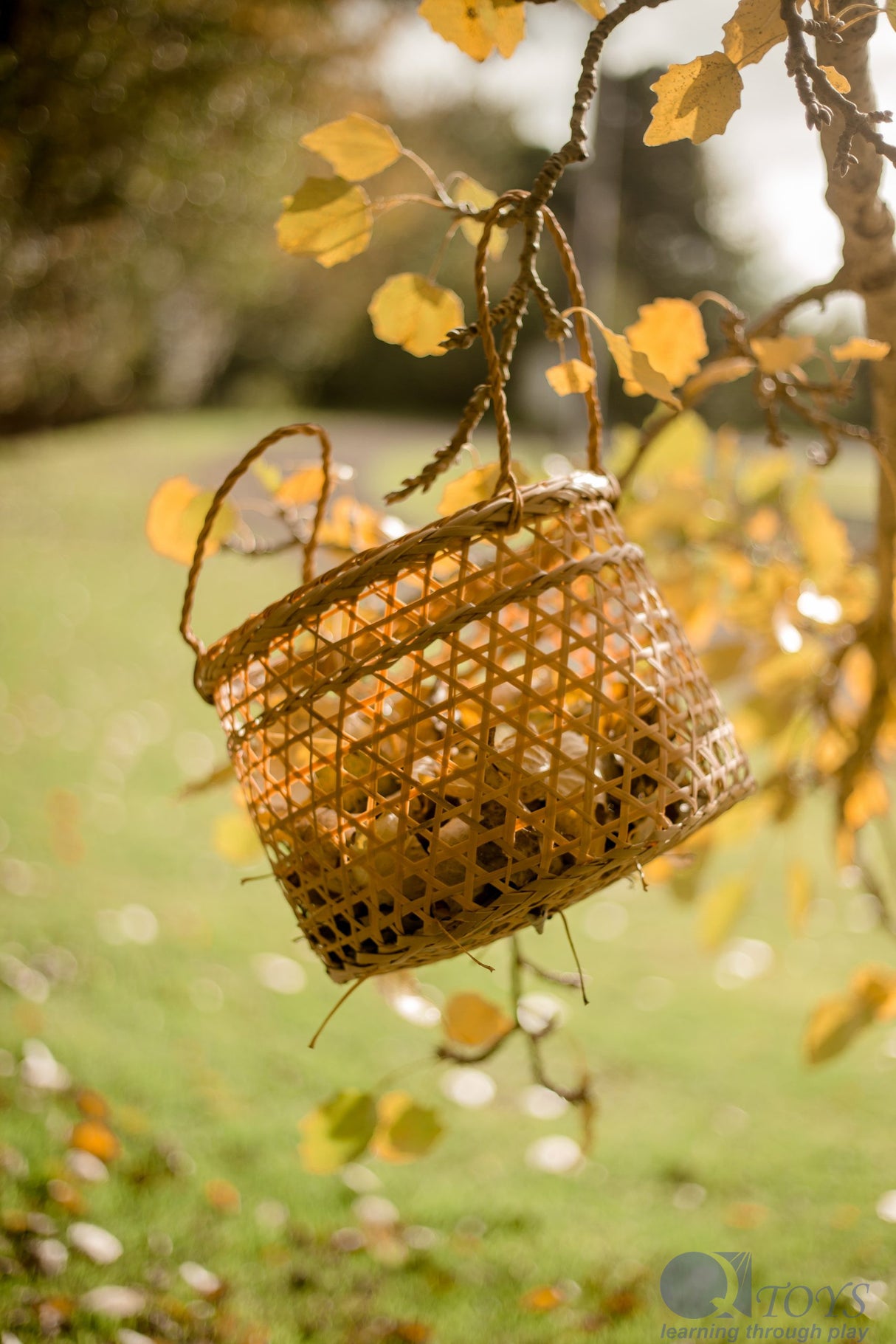 Beach Play Basket