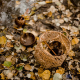Beach Play Basket