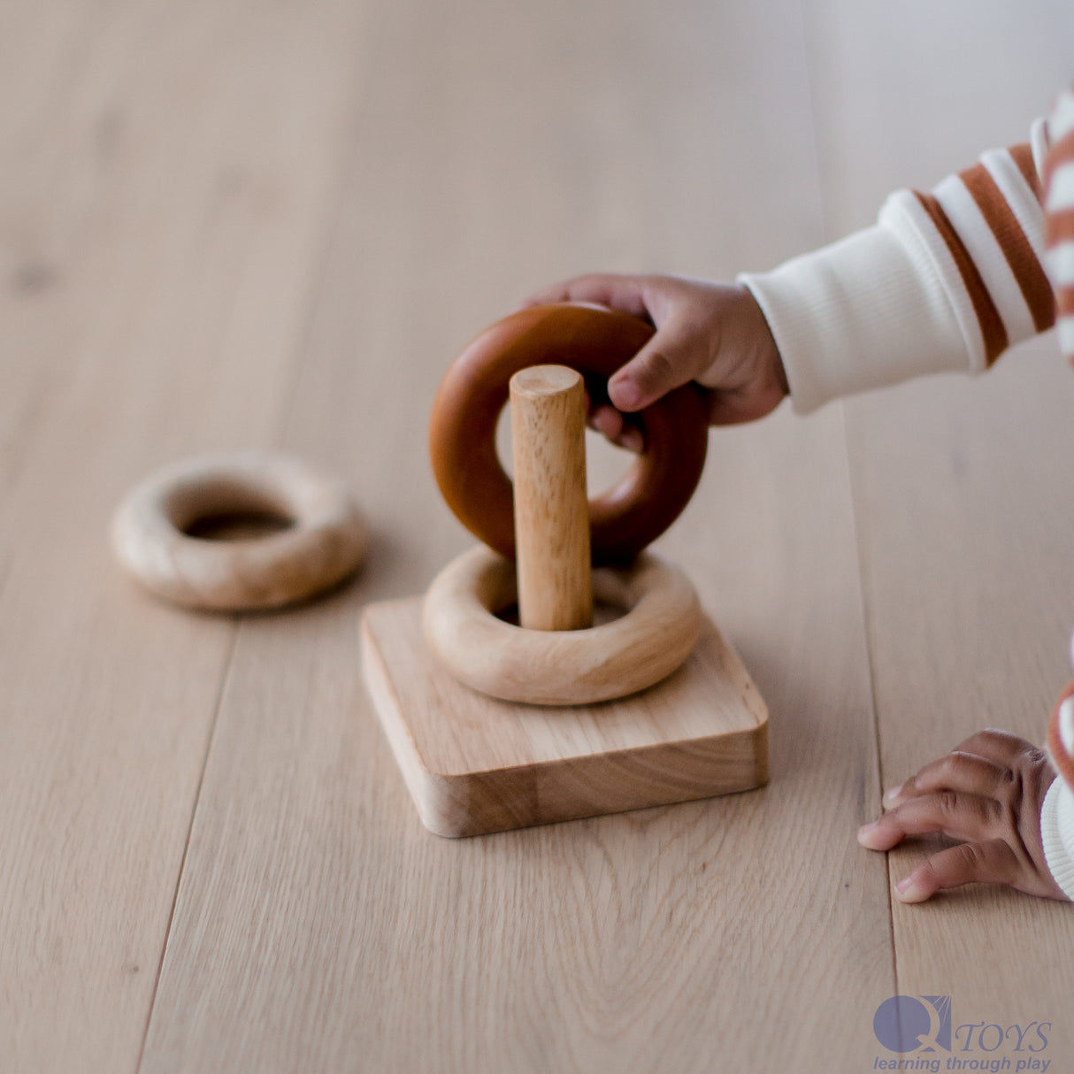 Montessori Sorting Rings
