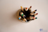 Tree Colour Pencil Set