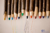 Tree Colour Pencil Set