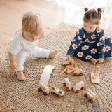 Vehicle Play Set