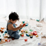 Jumbo Natural Rainbow Blocks 86 pcs.