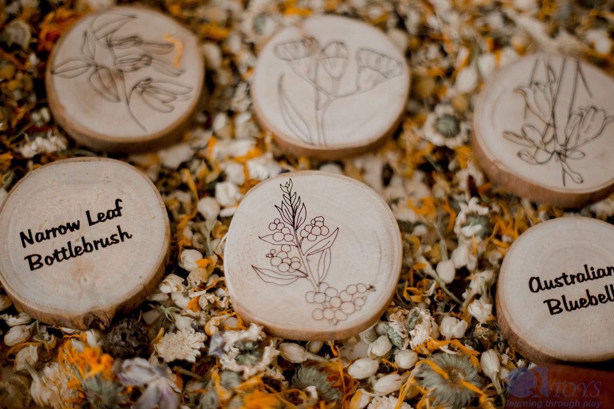 Australian Flora Set of 10