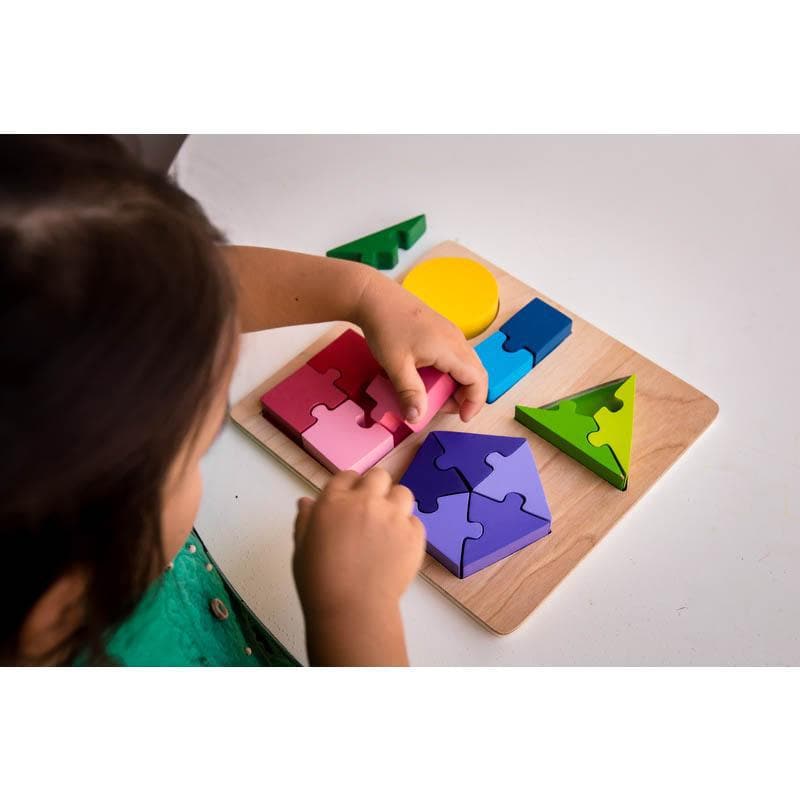 Jigsaw Shape Fraction Puzzle